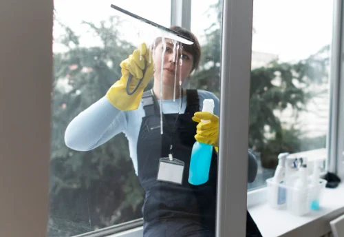 Nettoyage de vitres intérieures et extérieures à la Pallu